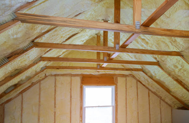 Best Eco-Friendly Insulation in Orangeville, UT